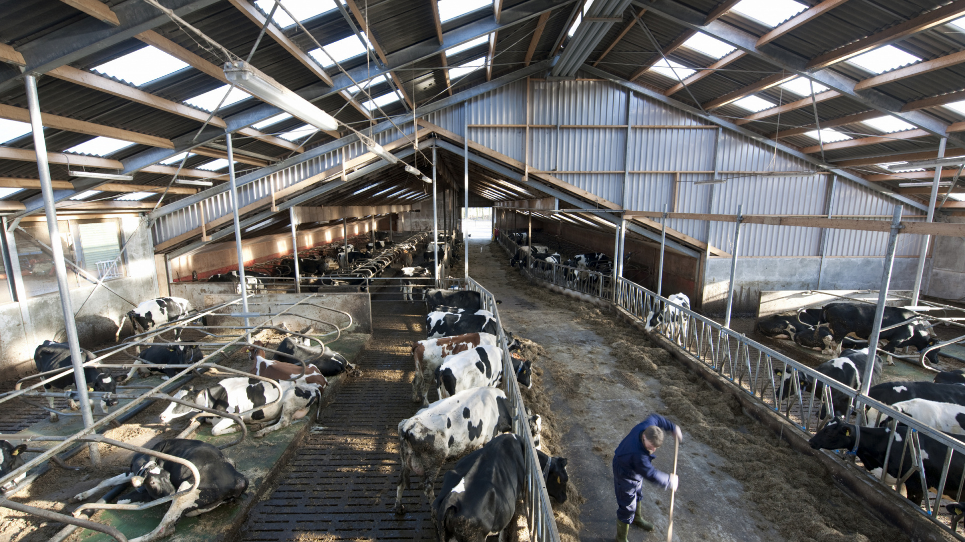 Interior of dairy farm