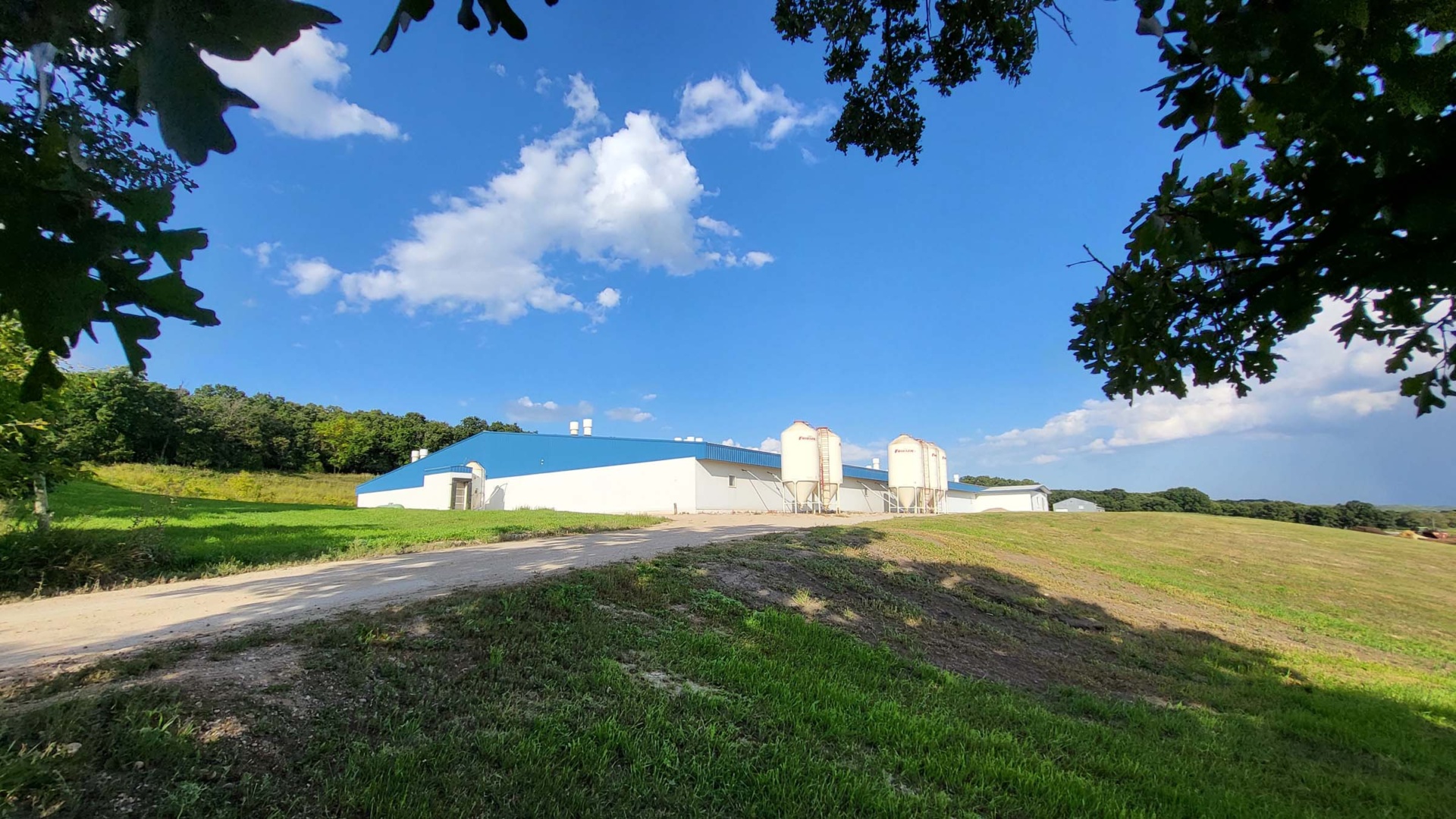Exterior photo of a large barn during a summer day within Deerboine Colony