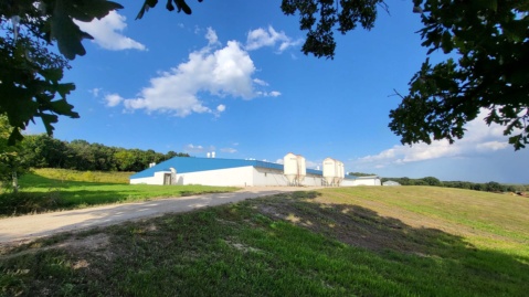 Exterior photo of a large barn during a summer day within Deerboine Colony