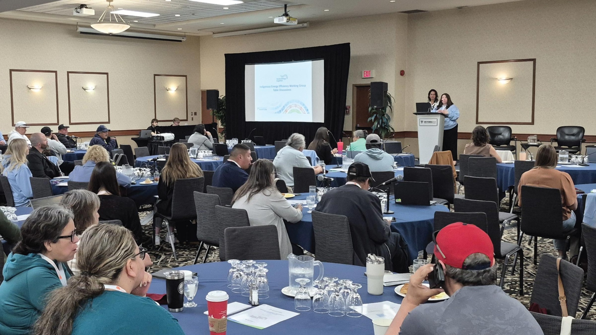 INDIGENOUS ENERGY EFFICIENCY WORKING GROUP