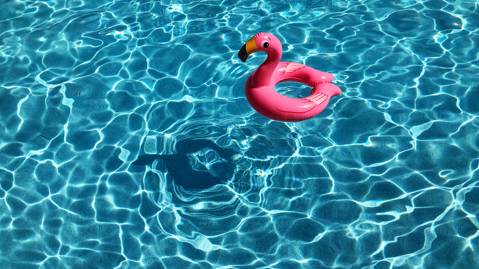 Bouée flamant rose gonflable flottant sur l'eau