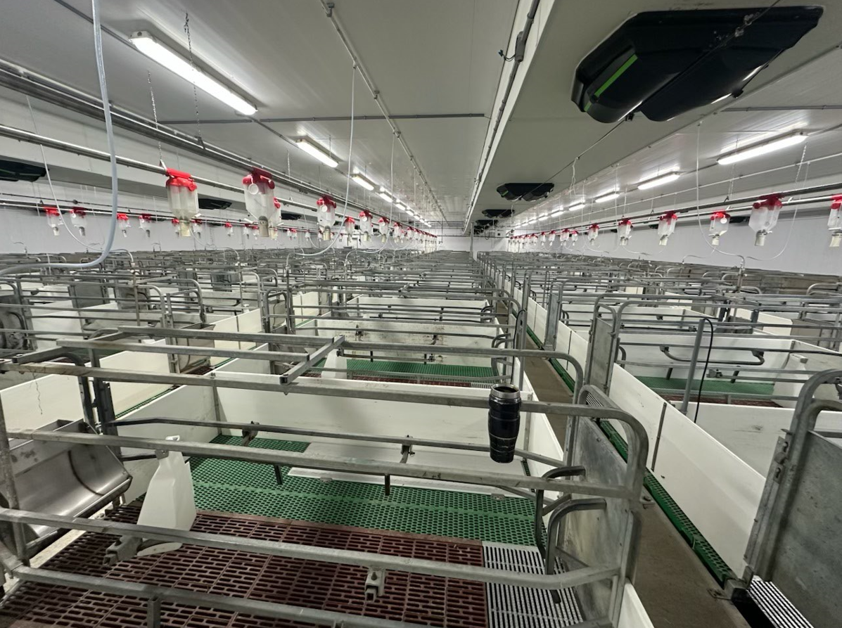 ENERGY-EFFICIENT HEAT PADS