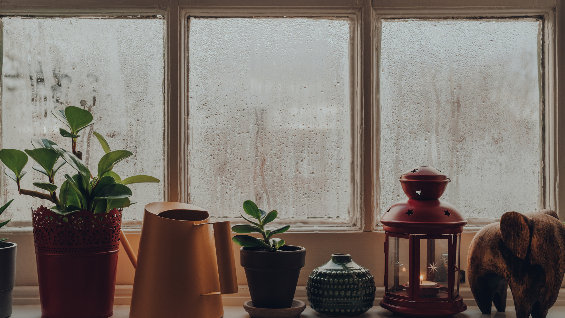 Fenêtre avec condensation