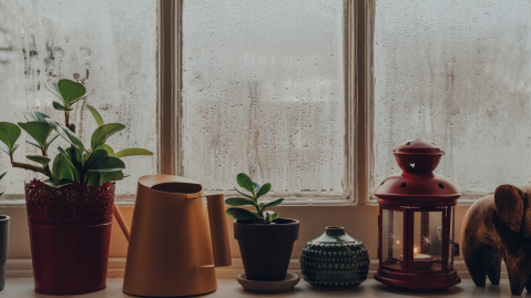 Window with condensation