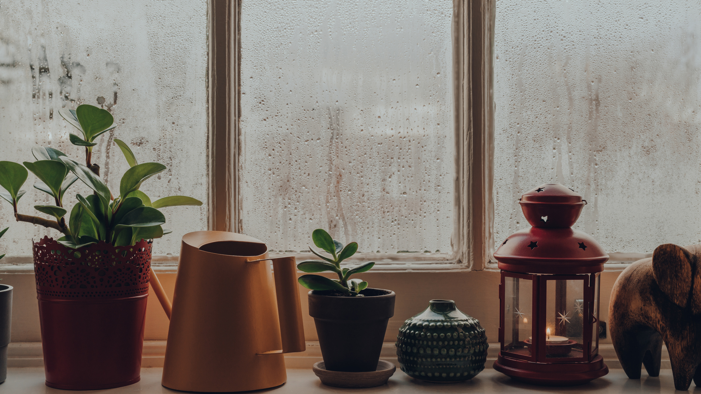 Fenêtre avec condensation