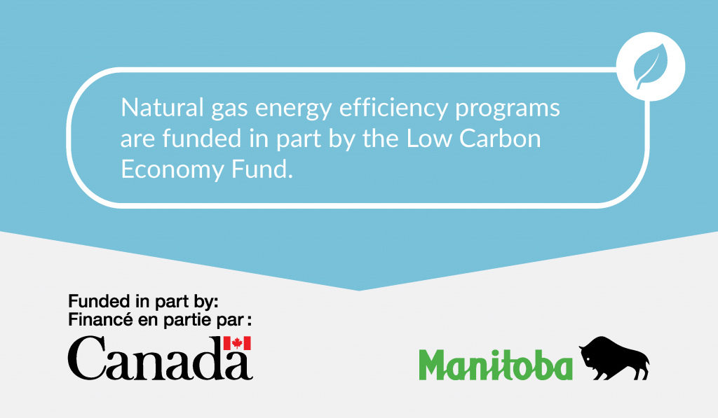 LOW CARBON ECONOMY FUND